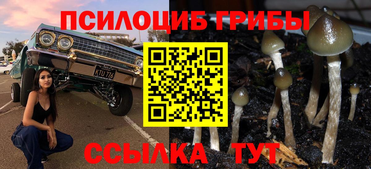 Псилоцибиновые грибы GOLDEN TEACHER Лысьва